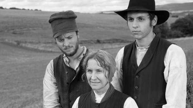 DIE ANDERE HEIMAT (2013)